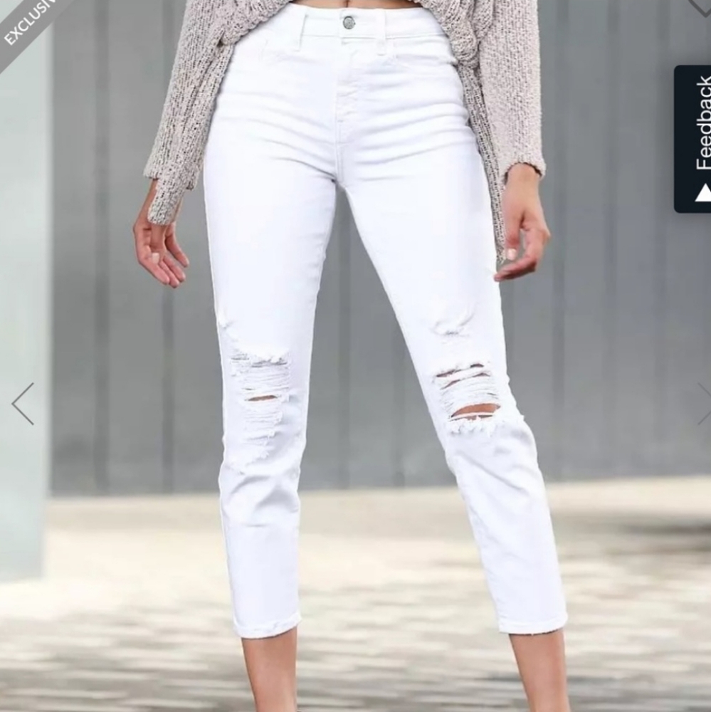 WILLOW + ROOT the BUCKLE jeans